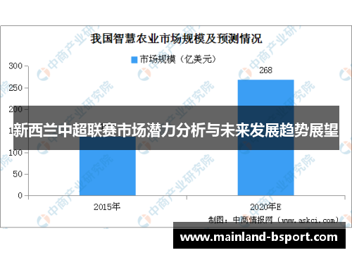新西兰中超联赛市场潜力分析与未来发展趋势展望