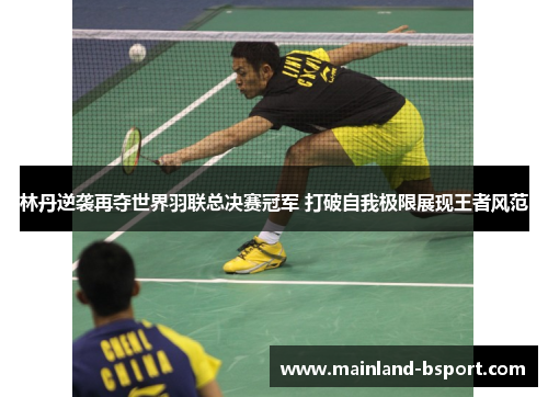 林丹逆袭再夺世界羽联总决赛冠军 打破自我极限展现王者风范