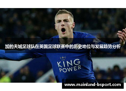 加的夫城足球队在英国足球联赛中的历史地位与发展趋势分析