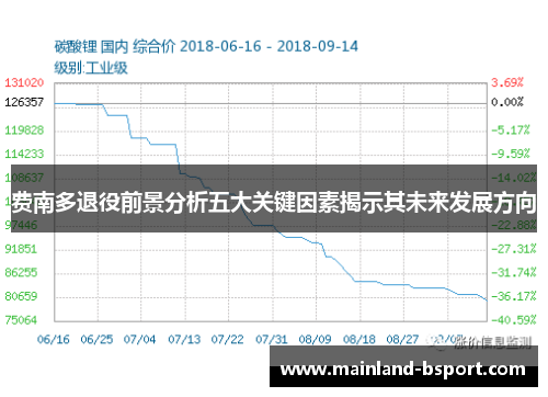 费南多退役前景分析五大关键因素揭示其未来发展方向