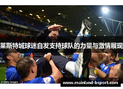 莱斯特城球迷自发支持球队的力量与激情展现