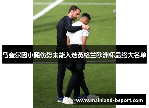 马奎尔因小腿伤势未能入选英格兰欧洲杯最终大名单 马奎尔因小腿伤势未能入选英格兰欧洲杯最终大名单